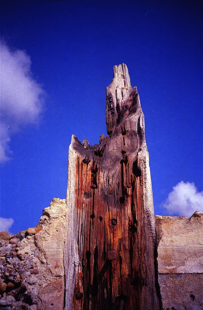 8573244506_bcf74a451c_z