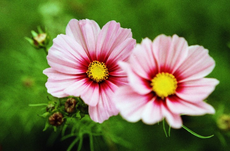 9734395245_ab55e56377_b