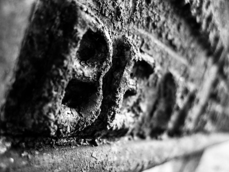 32000329677_be43e3f5c9_b