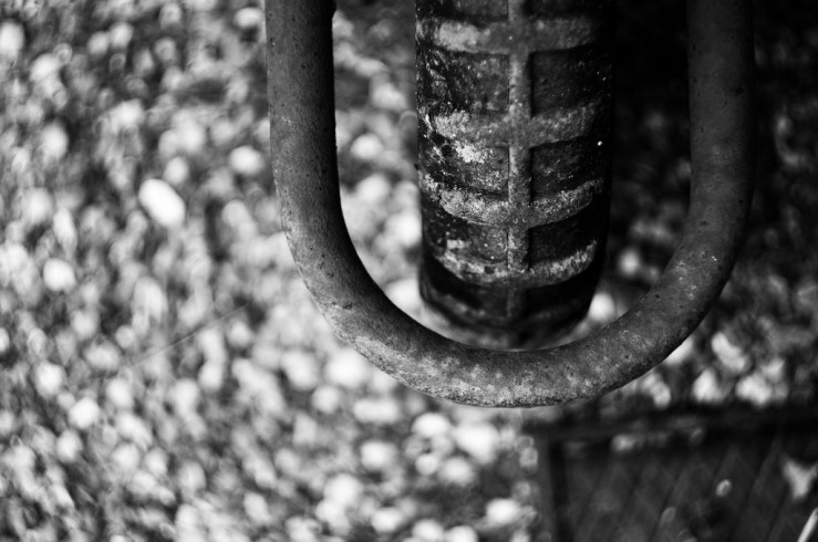 33560008718_f411f7b3a3_b