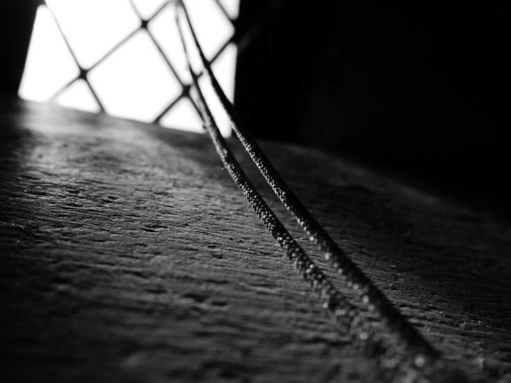 33616409958_d024861341_b