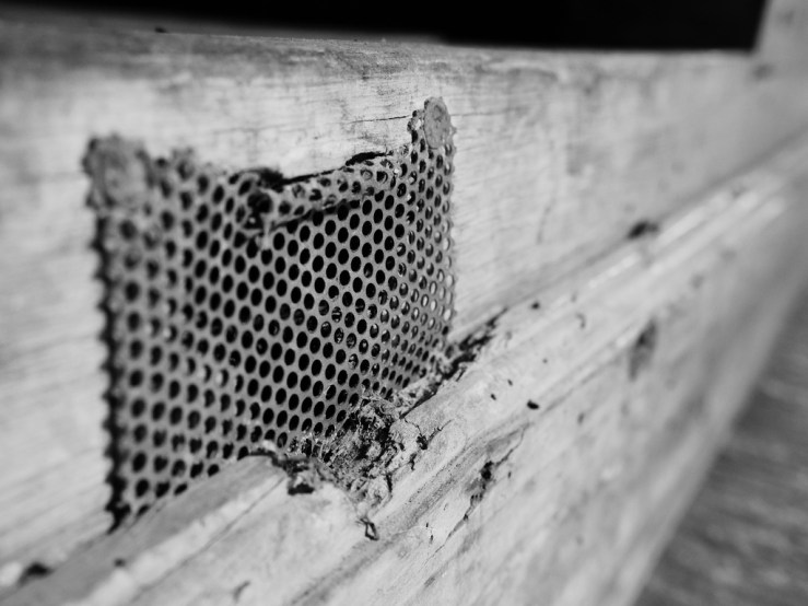 33616414958_b83a5fe010_b