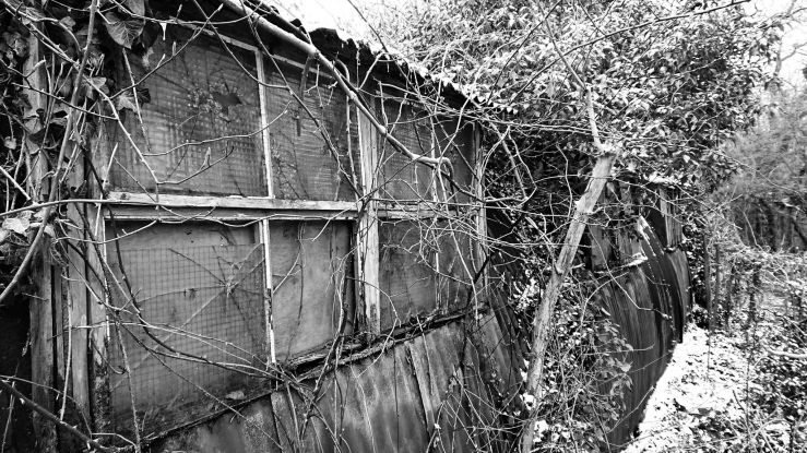 39095972200_c760201cb4_b