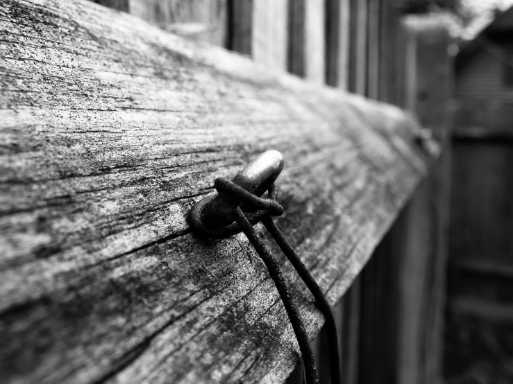 40374153453_7f7fe7f9cc_b