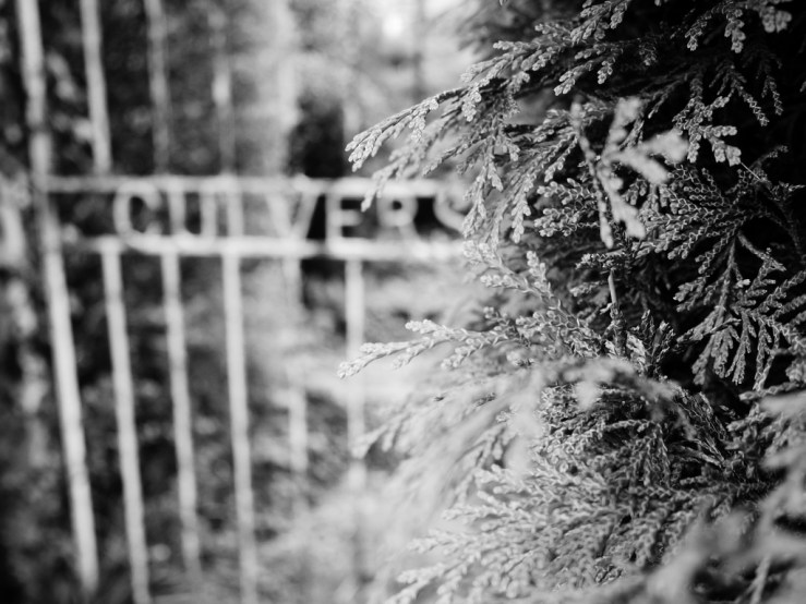 40500250563_e523ca728a_b