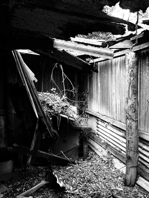 46472514155_4c51b6aae7_z