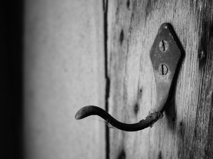 46572732415_e57bb77dab_b