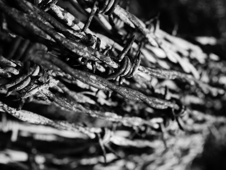 46764676484_e31a494a67_b