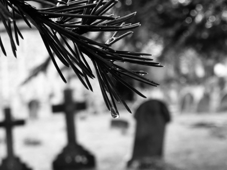 47245773022_bc97e0d1d3_b