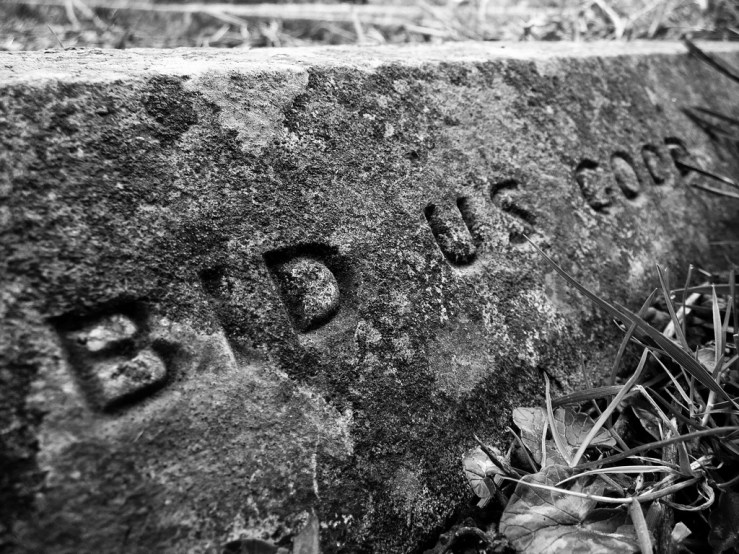 47302804011_ca7d606505_b