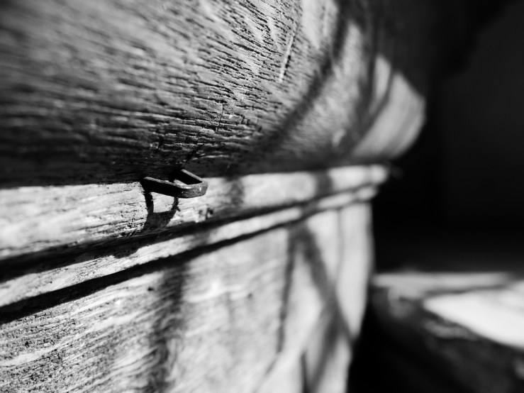 47487939451_71f0447689_b