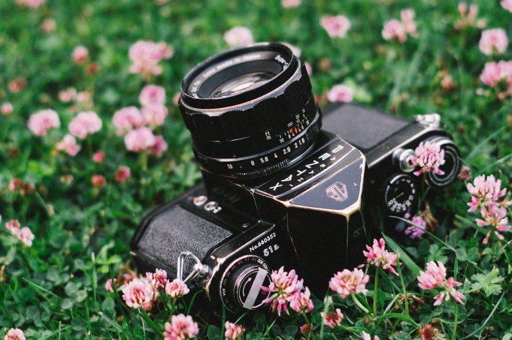 19527766294_7d174f5481_b