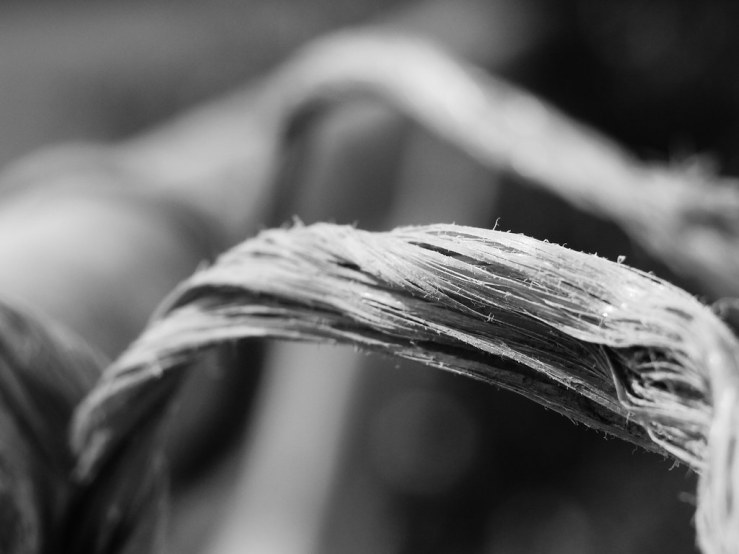 32599623027_06fcd2be7f_b