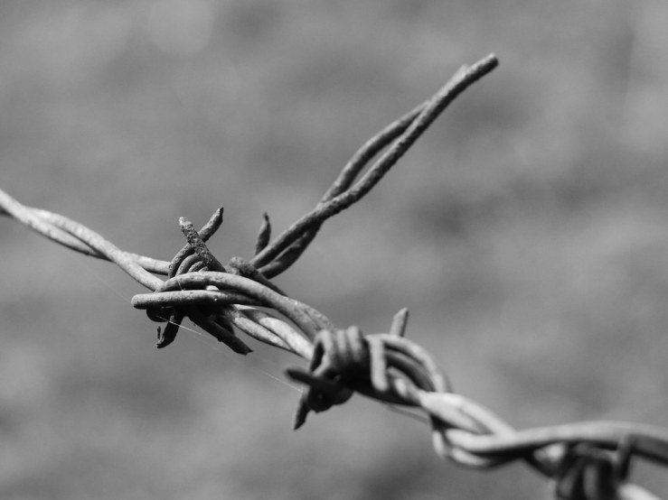 33665436868_c6456237c6_b