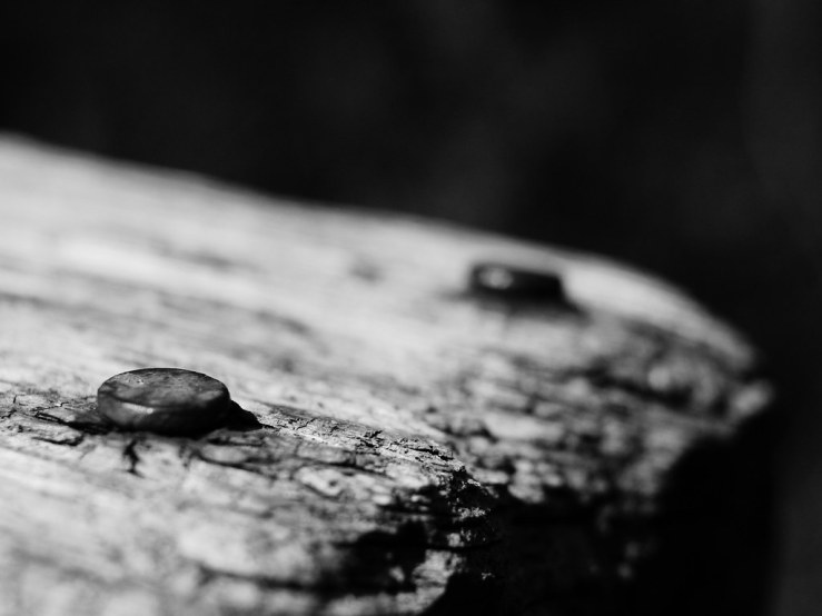 33754449688_91f4549706_b