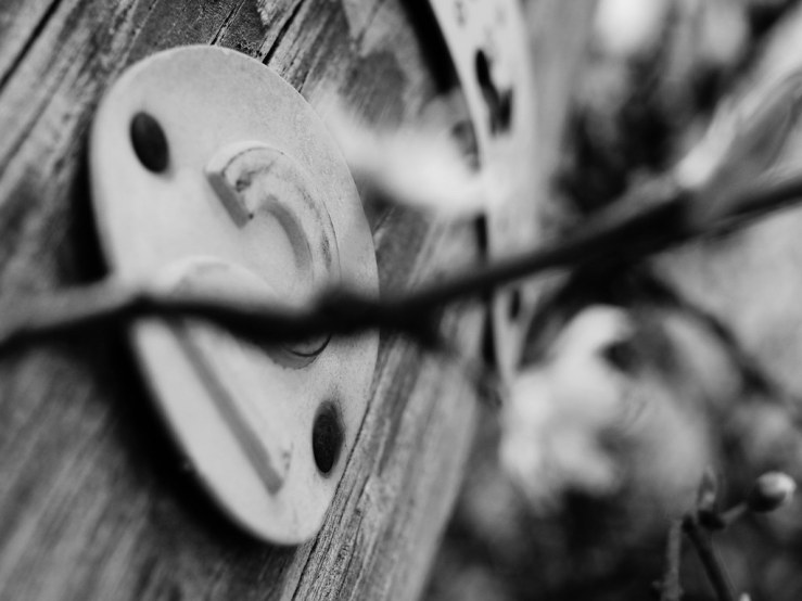 33754451258_ecc85a078f_b