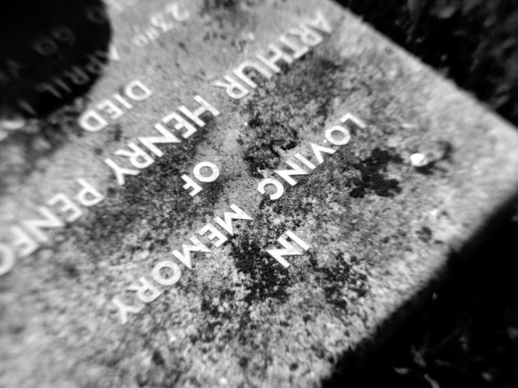 47592524282_b98a4e2526_b