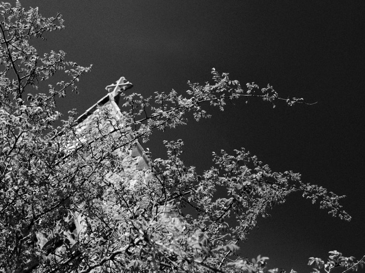 47626814792_a1ce7f8eee_b