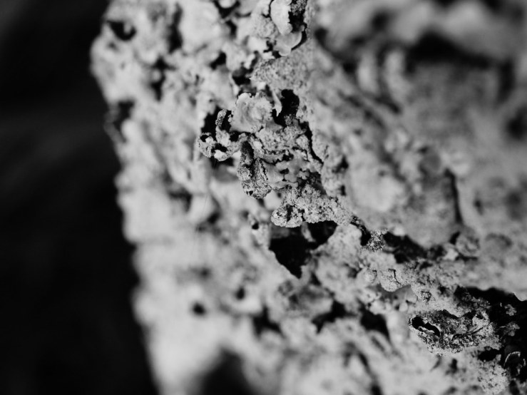 47631734821_0ef64a5e93_b