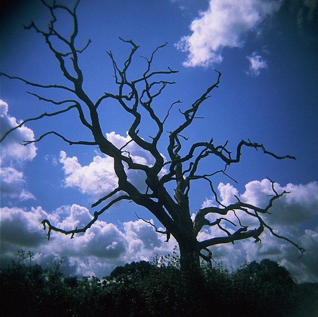 Autosave-File vom d-lab2/3 der AgfaPhoto GmbH