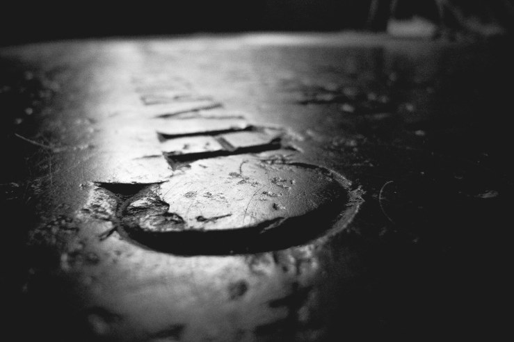 24445590378_8d5fbbfec9_b