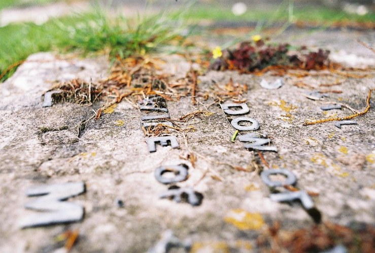 28875784945_565416fe36_b