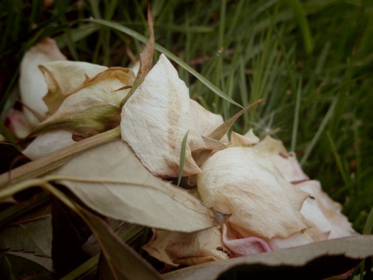 32821682657_5fb974628b_b