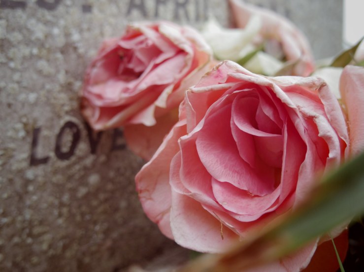 33888184708_97f3452721_b