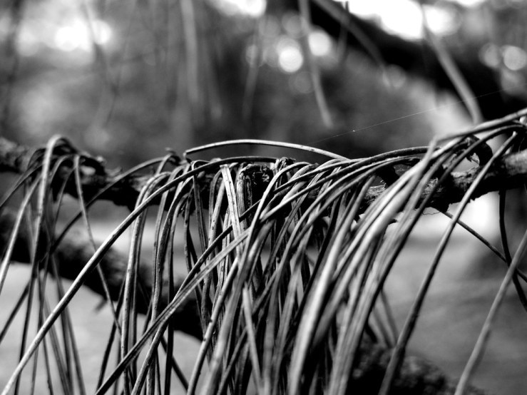 40832183523_9d3b8dd4ce_b