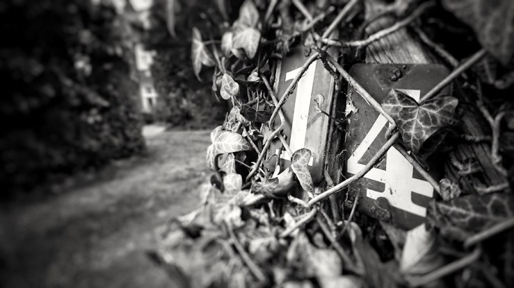 41042798861_4331b94536_b