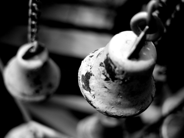 46895652685_e68a2ca8c4_b