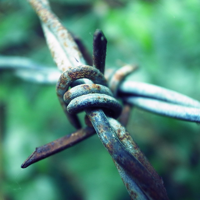 46895841575_0779a3c650_z