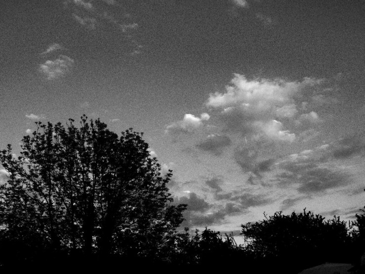 46994161285_e7d2c06fba_b