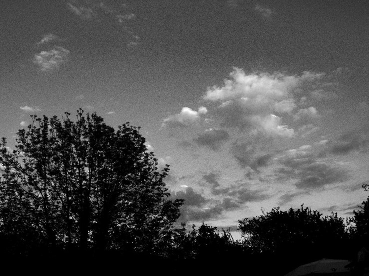 46994161815_17b543942b_b