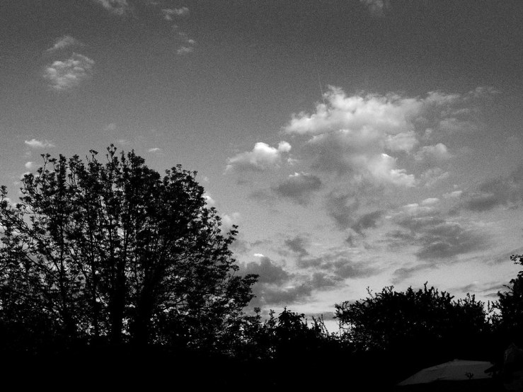 46994162375_d8f1d282e1_b