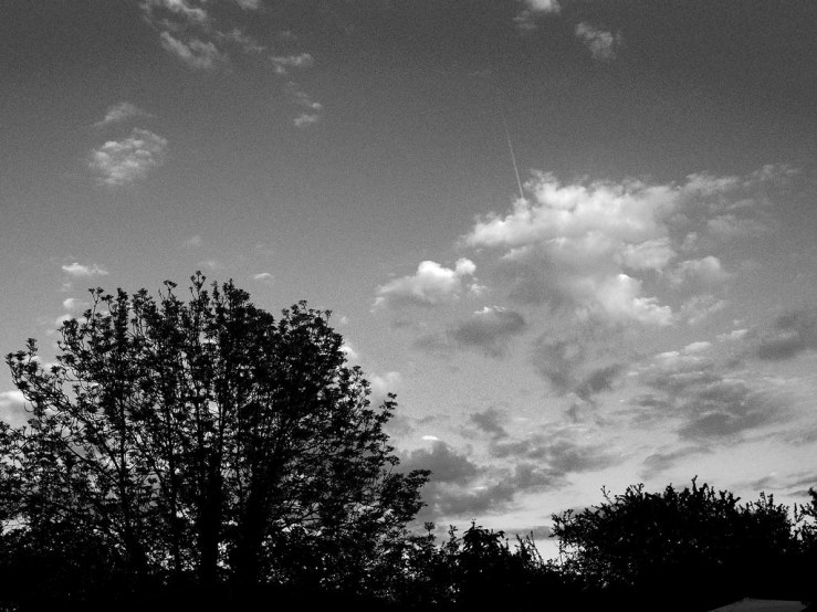 46994162925_0a29302bf9_b