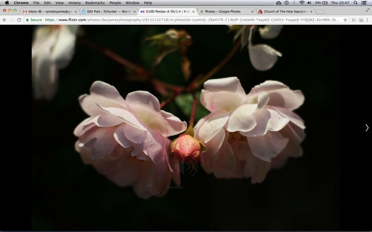 47075066504_075612d92c_b