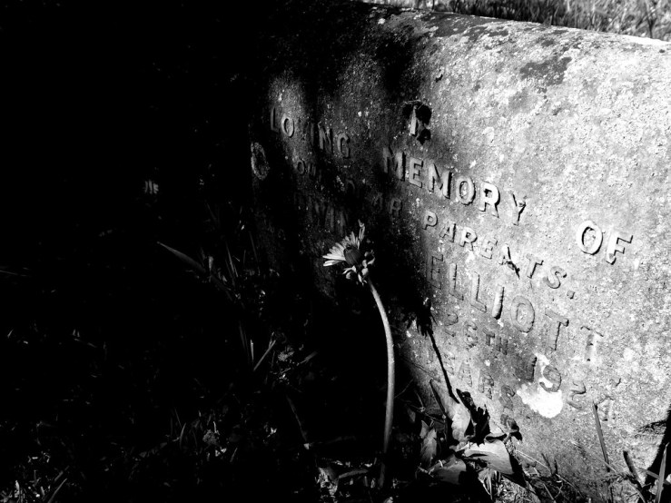 47791663492_84a4d4f172_b