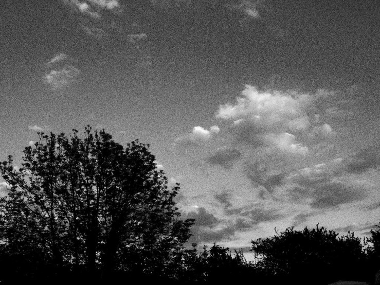 47858149712_ed210ef315_b