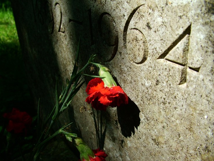 47925216956_83cd683b1c_b