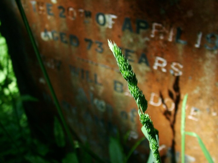 47925224888_19b7b9b39d_b