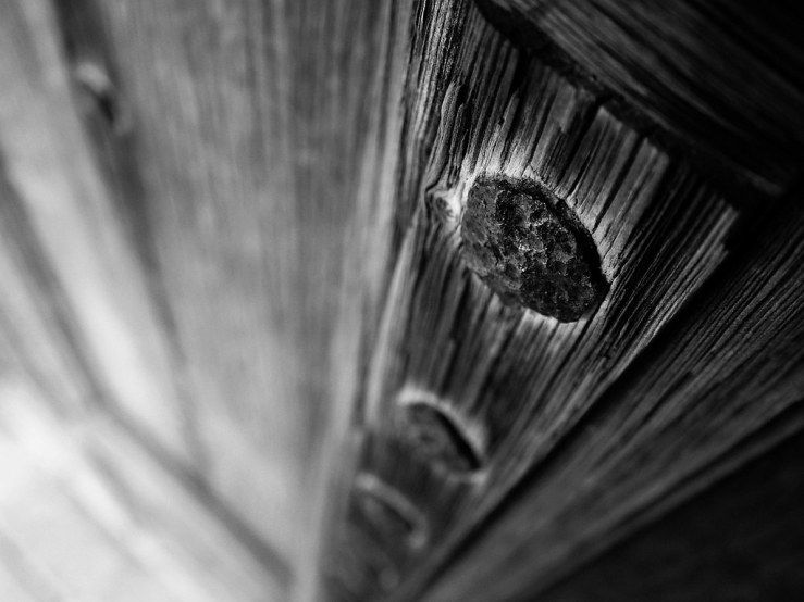 47953630741_5a214ddd4c_b