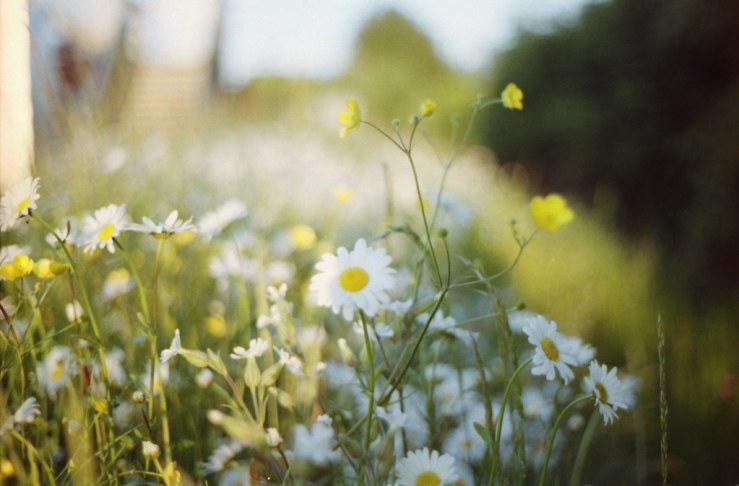 9043105349_efd2e54d97_b