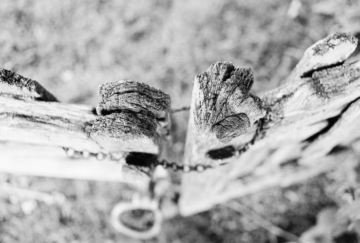 30567355536_9aabf2b44a_b