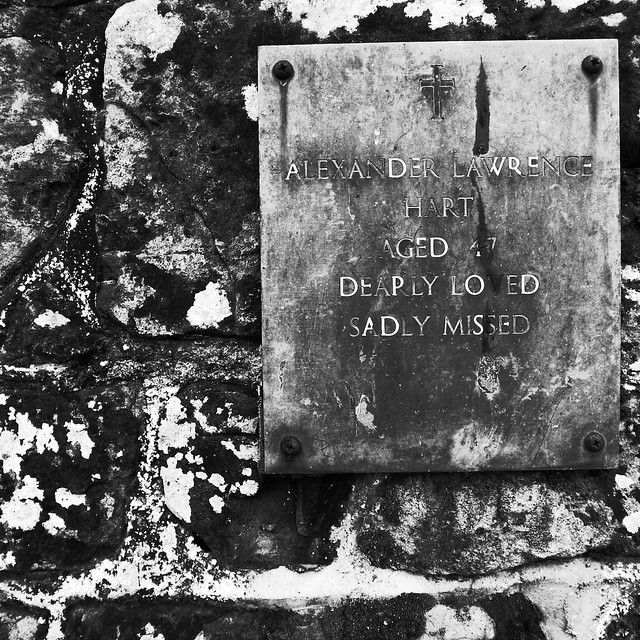 37964868792_235a7eafbb_z