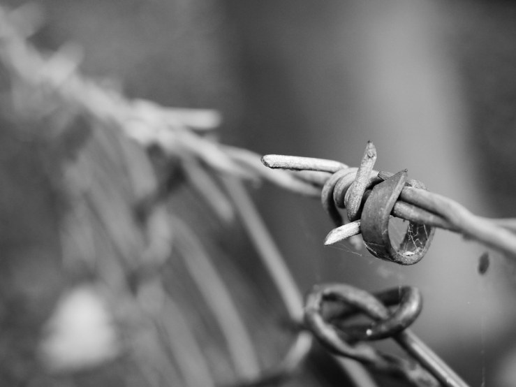 48039006098_3ab3b5bf85_b