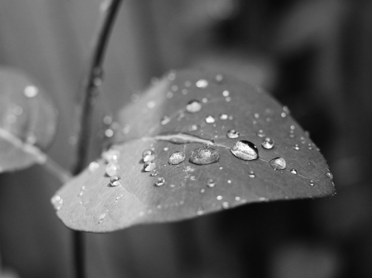 48039069877_631fddb82d_b