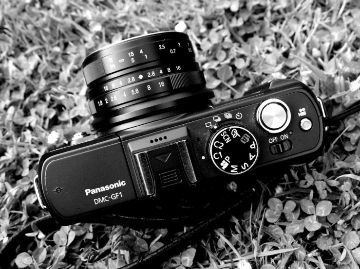 48044777153_0518d92f91_b