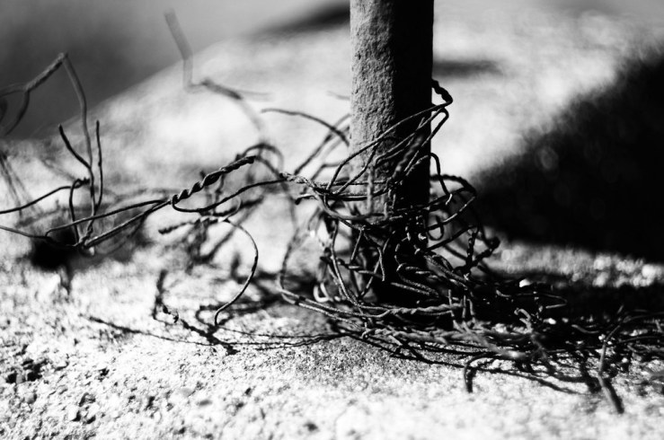 48086823493_8da2b5be89_b