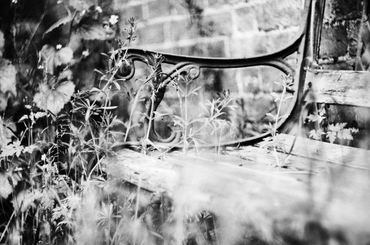 48086854848_0e3e025bee_b